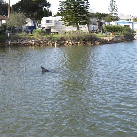 RIVER BREEZE PARK (2025) All You Need to Know BEFORE You Go (with ...