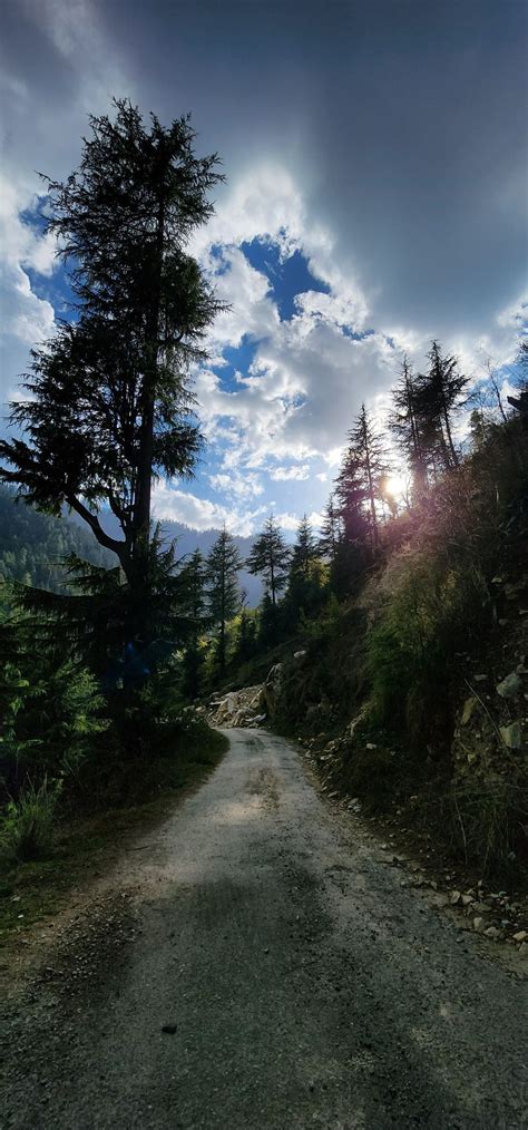 Jibhi Weather: Current Conditions & Snowfall Guide | Jibhi Valley Guide