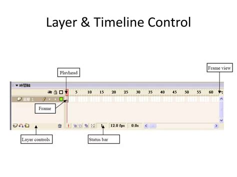 Image result for Adobe Flash Tutorial