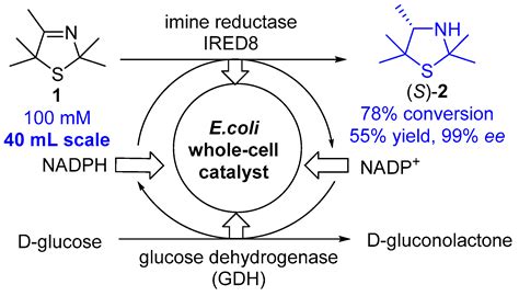 Expanding the Scope of Asinger Chemistry towards Enantiomerically Pure ...