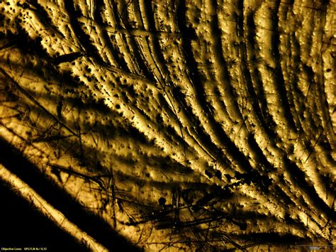 Image result for Electronic Photocell Problems