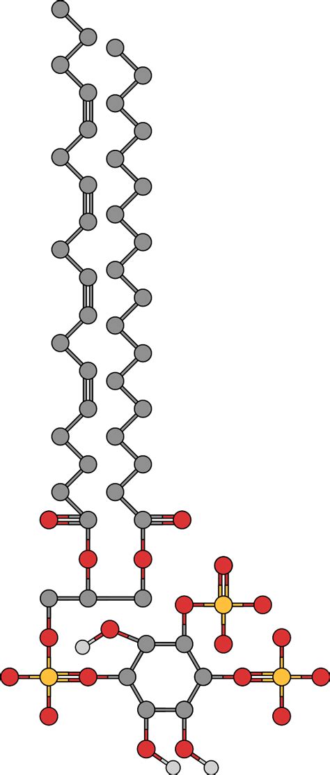 Image result for PIP2 Signaling Pathway