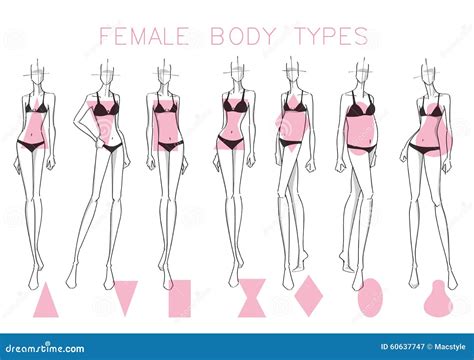 Female body shapes stock vector. Illustration of fitness - 60637747