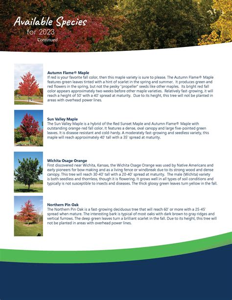 Image result for Tree-Planting Program Sample