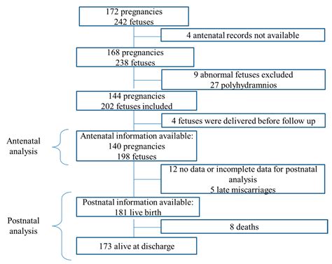 The Antenatal and Postnatal Consequences of Antenatal Exposure to ...