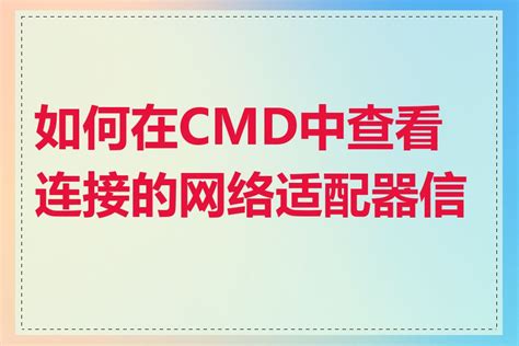Cmd NetView 的图像结果