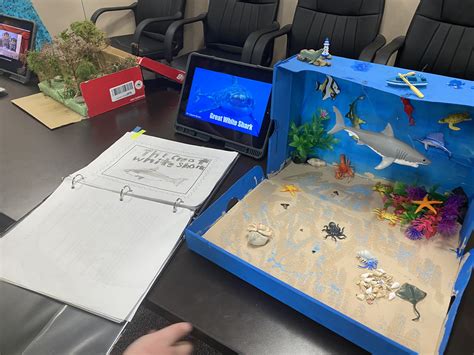 Great White Shark Habitat Diorama