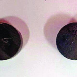 Image result for Biocompatibility Test