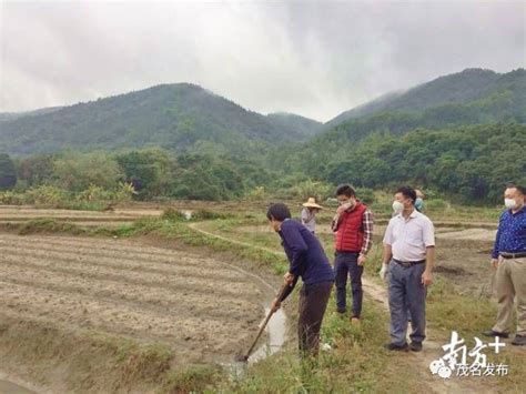 【复工复产进行时】我市春耕全面启动！ 近100家农业企业复工复产_澎湃号·政务_澎湃新闻-The Paper