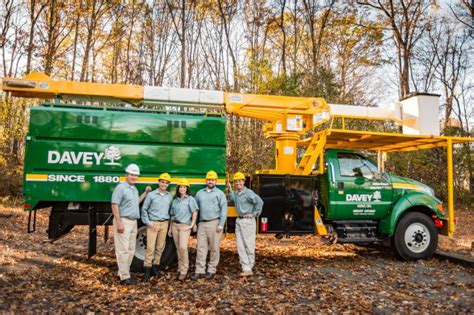 Davey Tree Service 的图像结果
