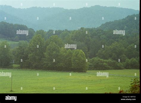 Farm 的图像结果