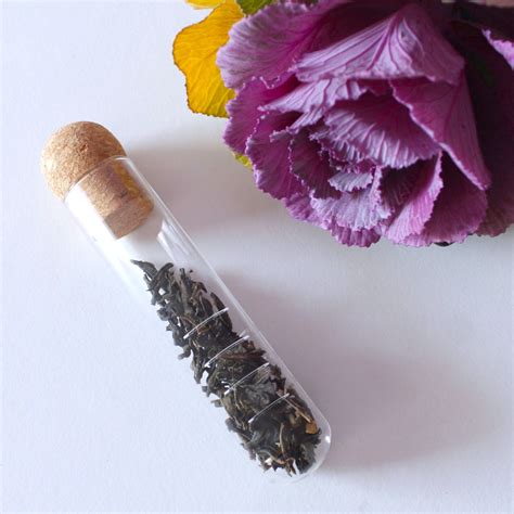 Glass Test Tube Infuser – Gardner Street Tea