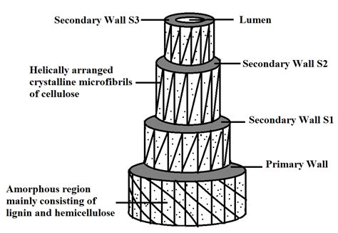 Physical and Mechanical Properties of Natural Leaf Fiber-Reinforced ...