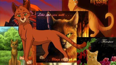 [100+] Warrior Cats Wallpapers | Wallpapers.com