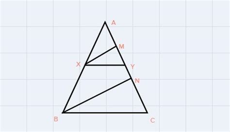In ABC, seg XY || side BC. If M and N are the midpoints of seg AY and ...