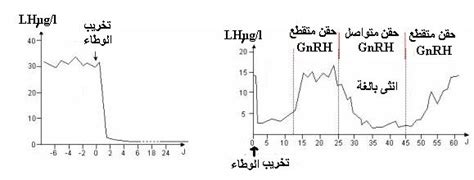 مراقبة إفراز fsh و lh