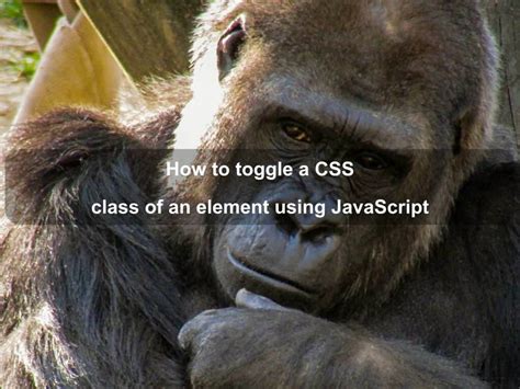 Image result for Add Style to CSS Class JavaScript