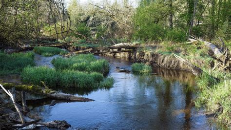 Redmond Ridge Golf Course - Experience Redmond
