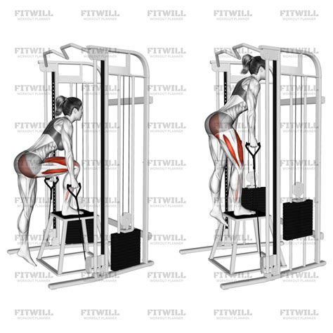 Cable Glute Dominant Step-Up: Exercise Guide, Video, Techniques ...