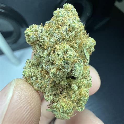 OG Gelato from Flow Gardens. The nose honestly just smells like orange glaze but a really dank ...