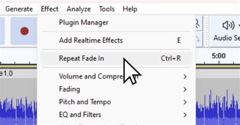 Image result for Audacity Loop Track