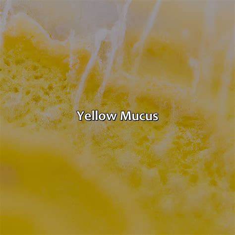 Yellow Orange Mucus