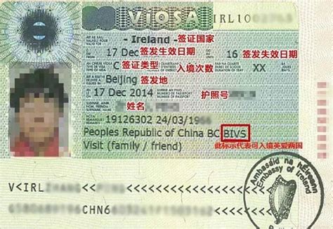 爱尔兰的签证类型，stamp4是什么_移民11
