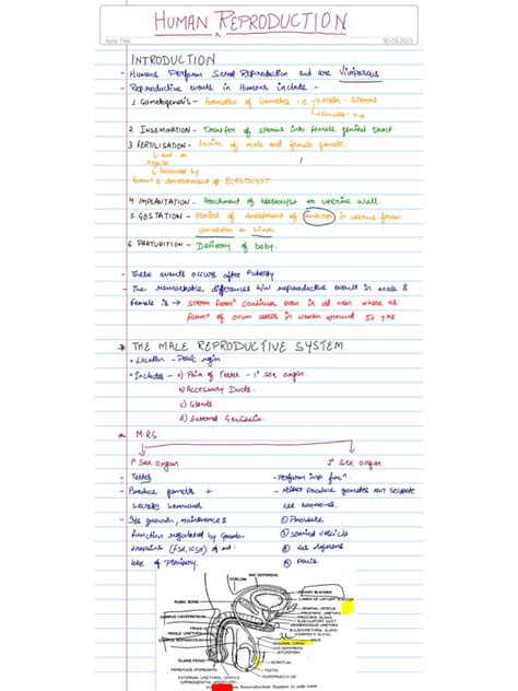 Image result for Isinamuva Human Reproduction Notes