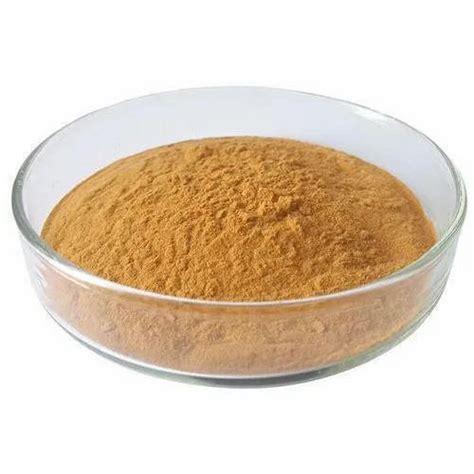 Extract - Astragalus Membranaceus Extract Trader - Retailer from Ahmedabad