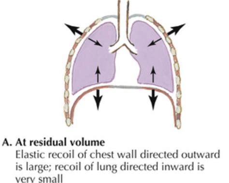 Respiration - OrgPad