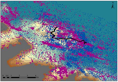 The Impact of Anchoring on Seafloor Integrity: An Integrated Assessment ...