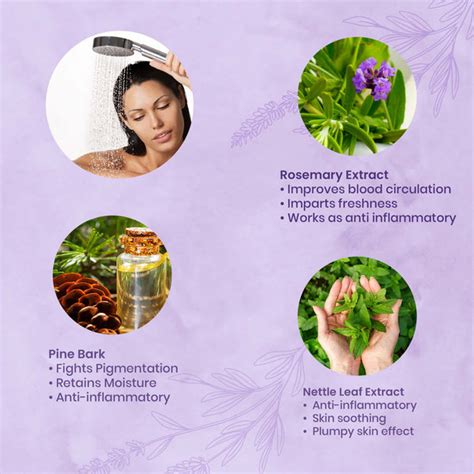 Organic Body Wash and Shower Gels Collection – August Bioscience