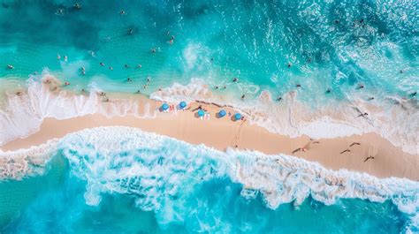 Sea Beach 的图像结果