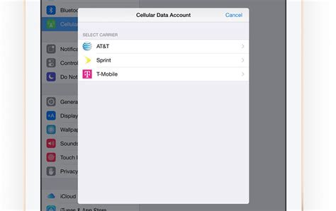 Image result for iPad Sim Card Package