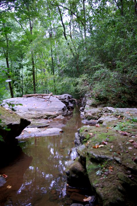 Elevation of Atlanta, GA, USA - MAPLOGS