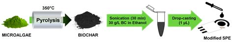 Exploring the Adsorption of Pb on Microalgae-Derived Biochar: A ...