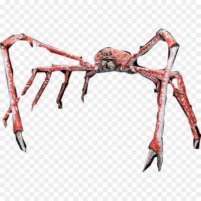 Crab Spiders Transparent Free PNG - Pngsource