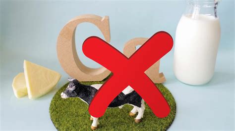 Best non-dairy sources of calcium - A list of the highest sources - non dairy sources of calcium