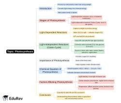 Mind Map: PDF Download
