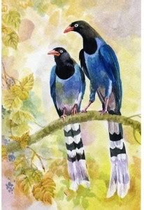 Birds Of Spring D3 Unframed Paper Poster 12inch x 18inch (30.5cms x 45 ...
