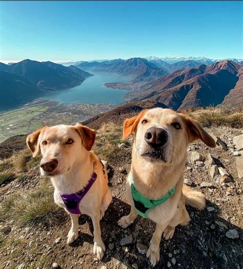 Feast of Tabernacles 2024, Via Respini 27, Locarno 6600 Schweiz, 17 ...