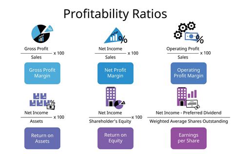 Profitability Ratios Formula for gross profit margin, net profit margin ...