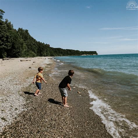 Image result for Hand Craft Insect Screen