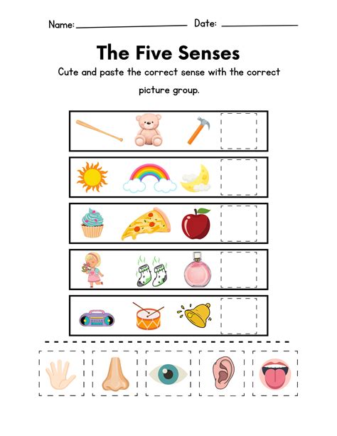 The Five Senses Worksheet | Education World