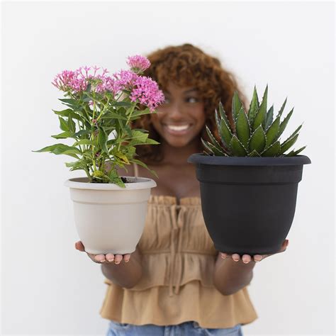 Bloem Ariana 8.5 in. H X 11 in. W Resin Traditional Planter Black | eBay