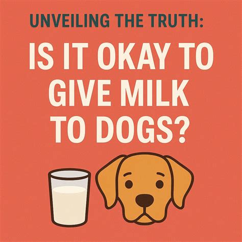 Is It Okay To Give Dogs Milk