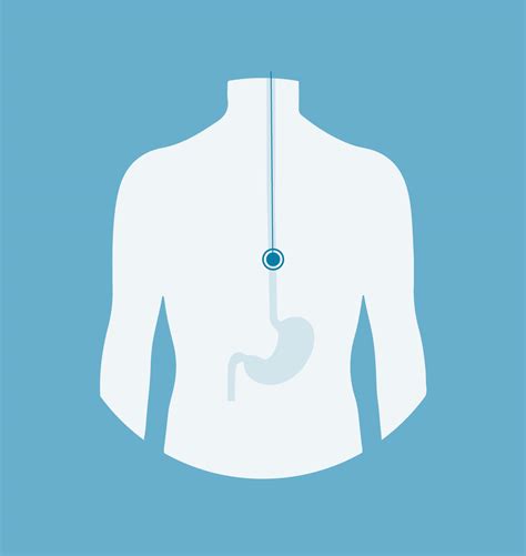 BRAVO - Nicholas Boyle