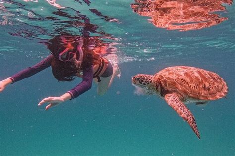 2025 Pulau Redang Snorkeling and Island Hopping Full Day Tour - with ...