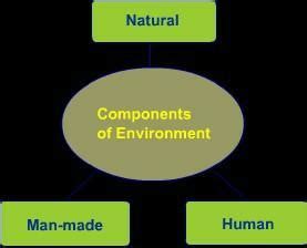 Describe the major components of the Natural Environment with only ...