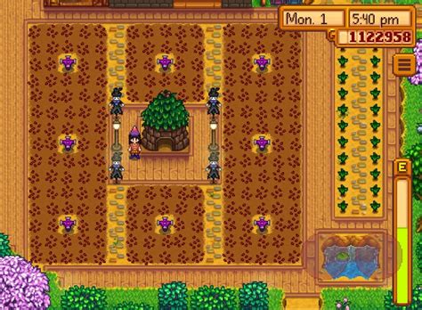 Stardew Valley Junimo Hut Layout